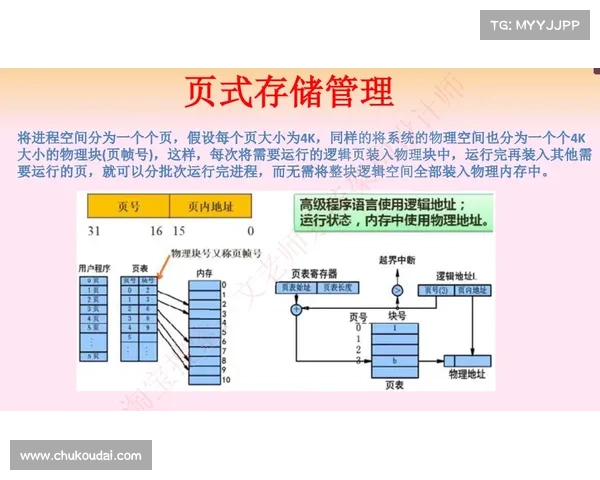 内蒙古曲棍球三年行动方案全方位解读：从竞技提升到基础设施全面升级